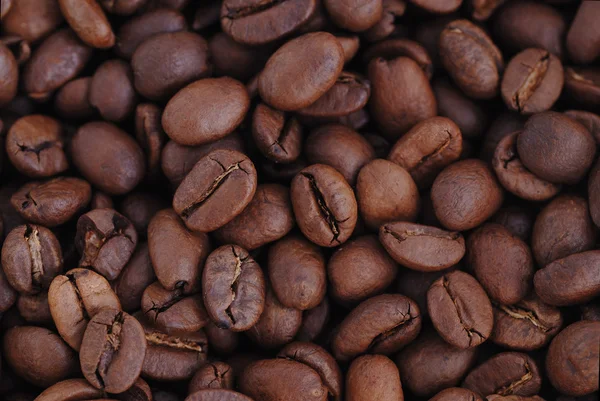 Coffee beans — Stock Photo, Image