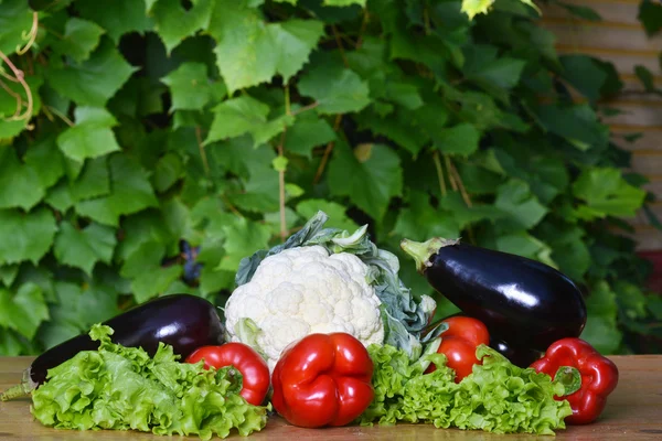 Fresh vegetables — Stock Photo, Image