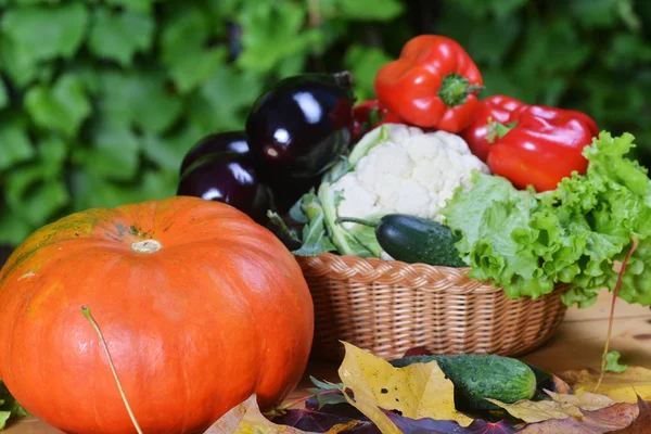 Fresh vegetables — Stock Photo, Image