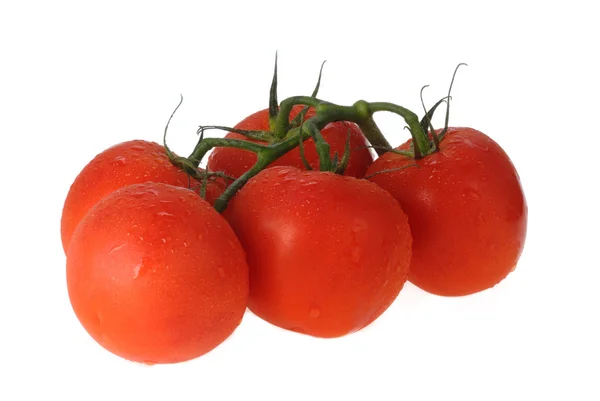 Tomates frescos — Foto de Stock