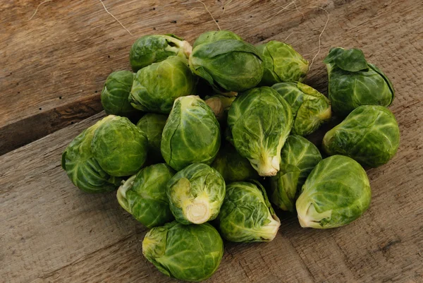 Brussels sprout — Stock Photo, Image