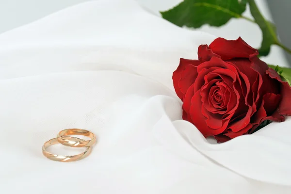 Rosa y anillos — Foto de Stock