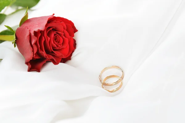 Rose und Ringe — Stockfoto