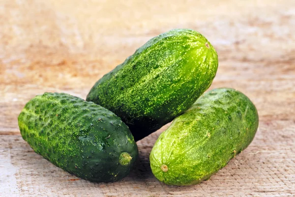 Fresh cucumbers — Stock Photo, Image