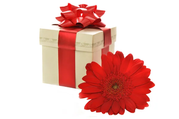 Present box with gerbera — Stock Photo, Image