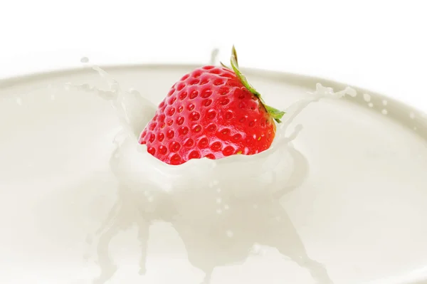 Aardbei druppels in melk en splash — Stockfoto