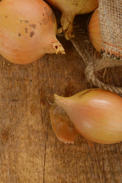 Frische Zwiebeln — Stockfoto