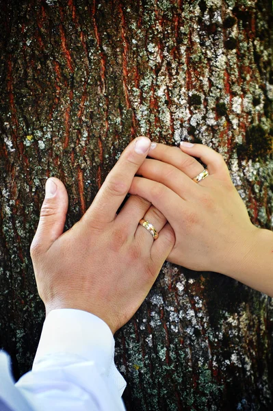 Novia y novio manos — Foto de Stock