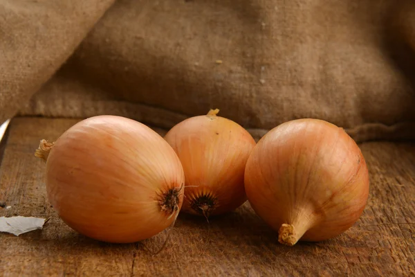 Fresh onion — Stock Photo, Image