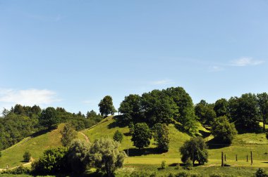 ağaçlar tepe üzerinde