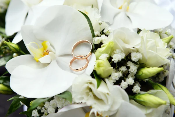 Orchids and wedding rings — Stock Photo, Image