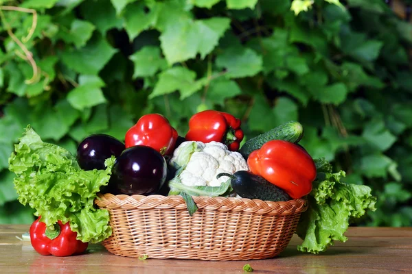 Vegetables in wicker — Stock Photo, Image