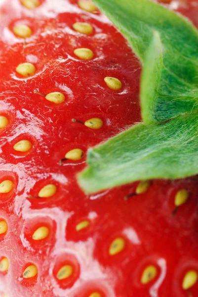 Red strawberry — Stock Photo, Image