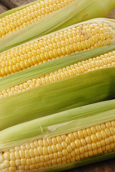 Corn cob — Stock Photo, Image