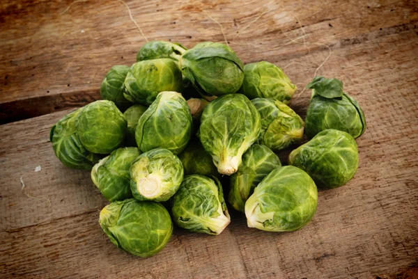 Rosenkohl sprießt — Stockfoto