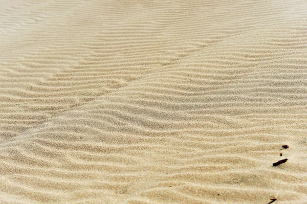 Kleiner Sand — Stockfoto