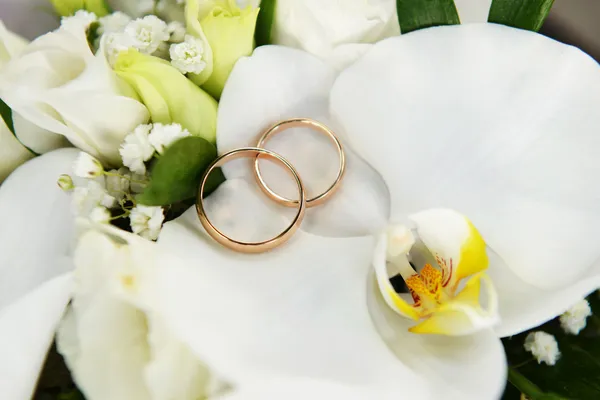 Orchids and wedding rings — Stock Photo, Image