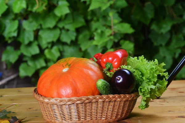 Vegetables in wicker — Stock Photo, Image