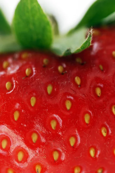 Red strawberry — Stock Photo, Image