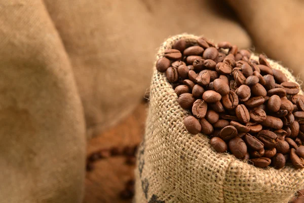 Coffee beans — Stock Photo, Image