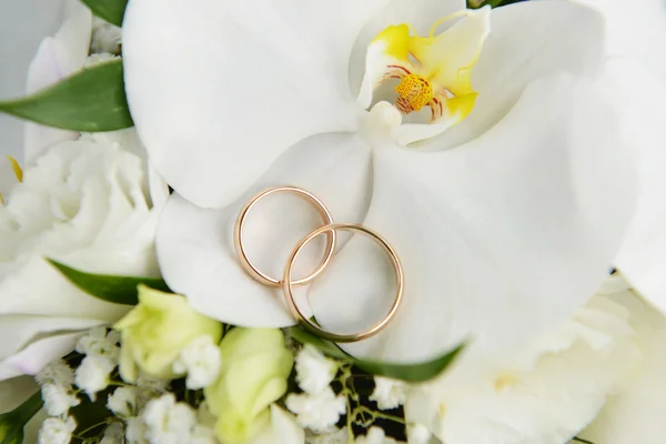 Orchids and wedding rings — Stock Photo, Image