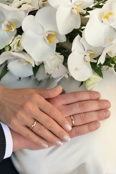 Manos con anillos de boda — Foto de Stock