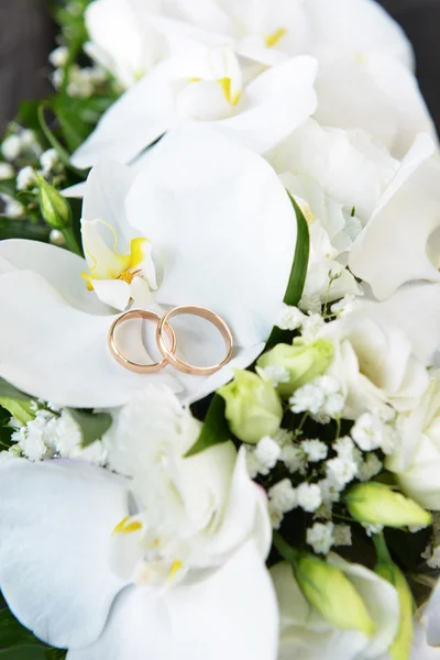 Orquídeas y anillos de boda — Foto de Stock