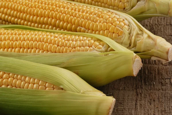 Fresh corn — Stock Photo, Image