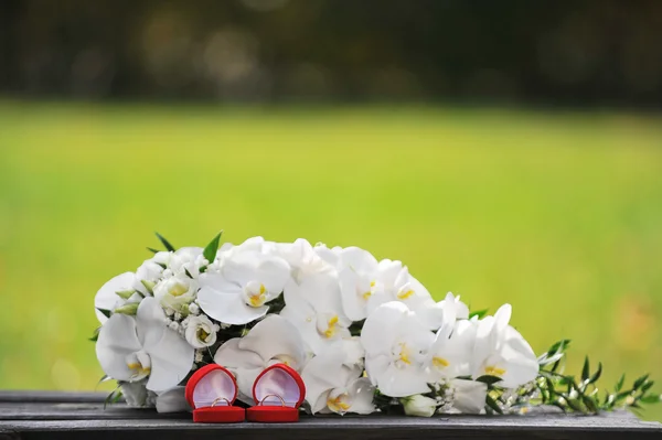 난초 및 결혼 반지 — 스톡 사진