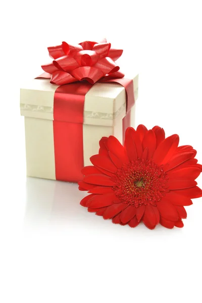 Present box with gerbera — Stock Photo, Image