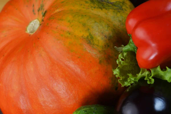 Produtos hortícolas frescos — Fotografia de Stock