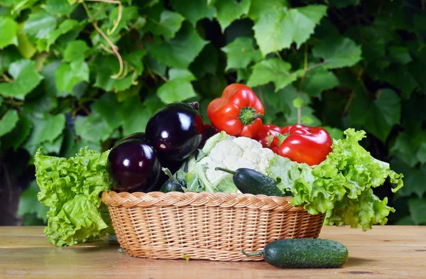 Vegetables in wicker — Stock Photo, Image