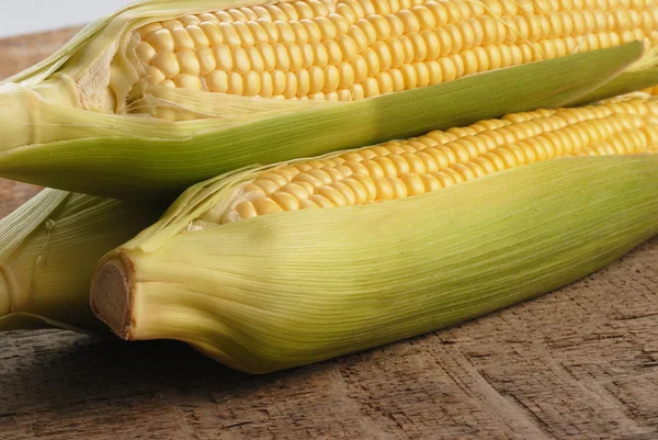 Fresh corn — Stock Photo, Image