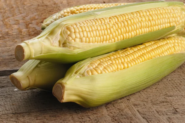 Fresh corn — Stock Photo, Image