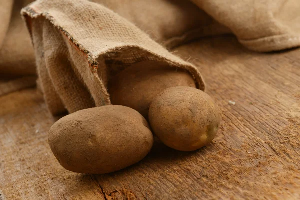 Oogst aardappelen — Stockfoto