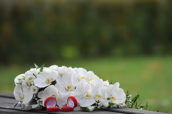 Orchideeën en trouwringen — Stockfoto