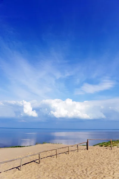 Hekken in duinen — Stockfoto