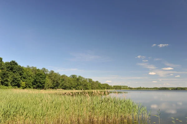 Ruhiges Wasser des Sees — Stockfoto