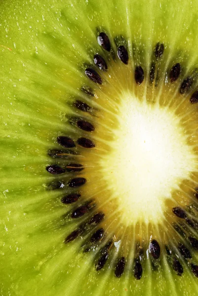 Kiwi slice — Stock Photo, Image