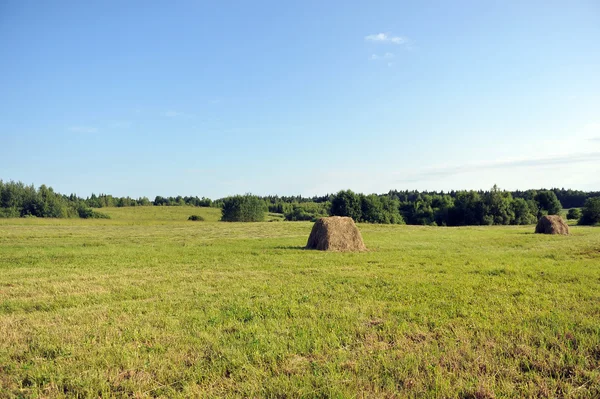 Haystack sur prairie — Photo