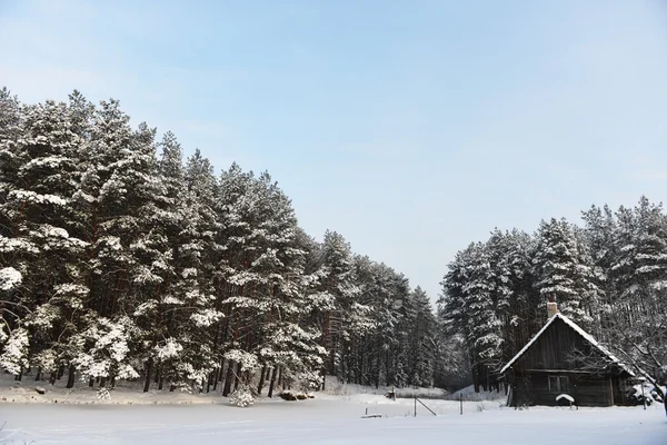 Paesaggio invernale — Foto Stock