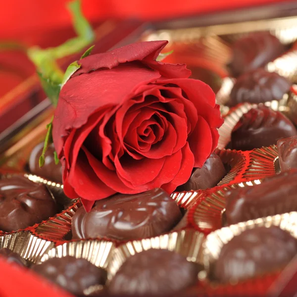 Chocolats et rose sur rouge — Photo