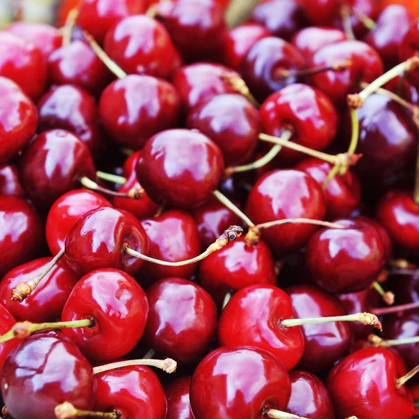 Freshly cherries — Stock Photo, Image