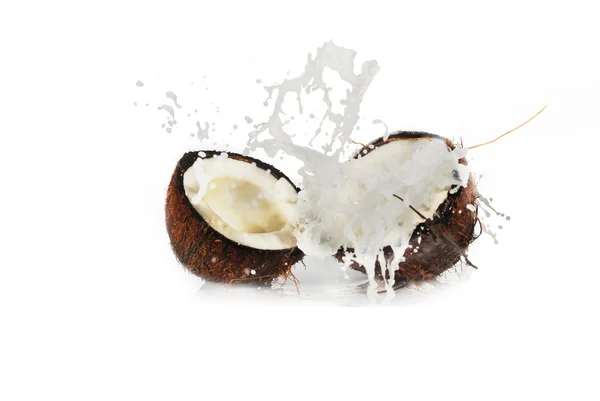 Frattaglie di cocco — Foto Stock