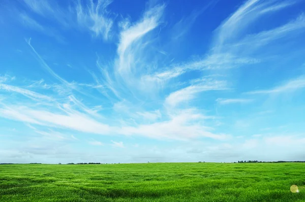 Sommar landskap med sky — Stockfoto
