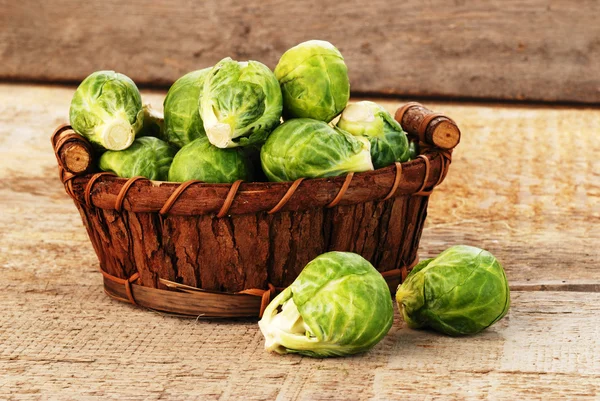 Rosenkohl sprießt — Stockfoto