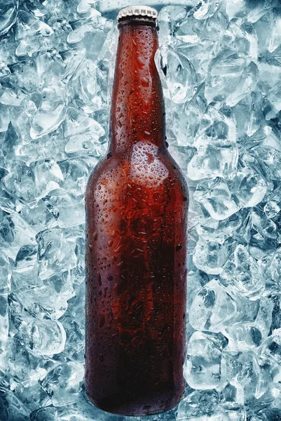 Bierflasche — Stockfoto