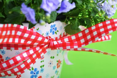 çan çiçeği çiçek