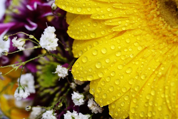 Bouquet of flowers — Stock Photo, Image