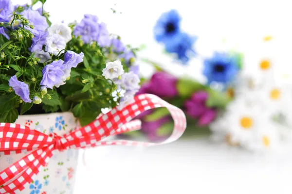 Campanula flowers — Stock Photo, Image